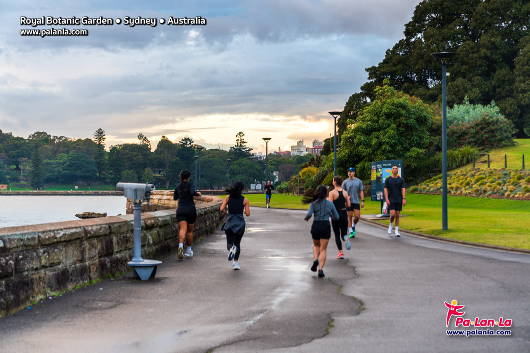 Royal Botanic Gardens